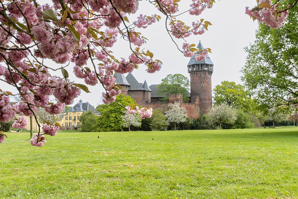 Immobilienmakler Krefeld