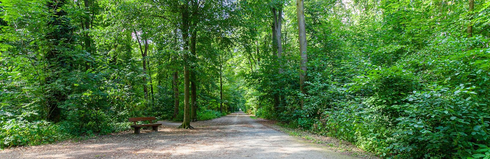 Immobilien Krefeld Forstwald