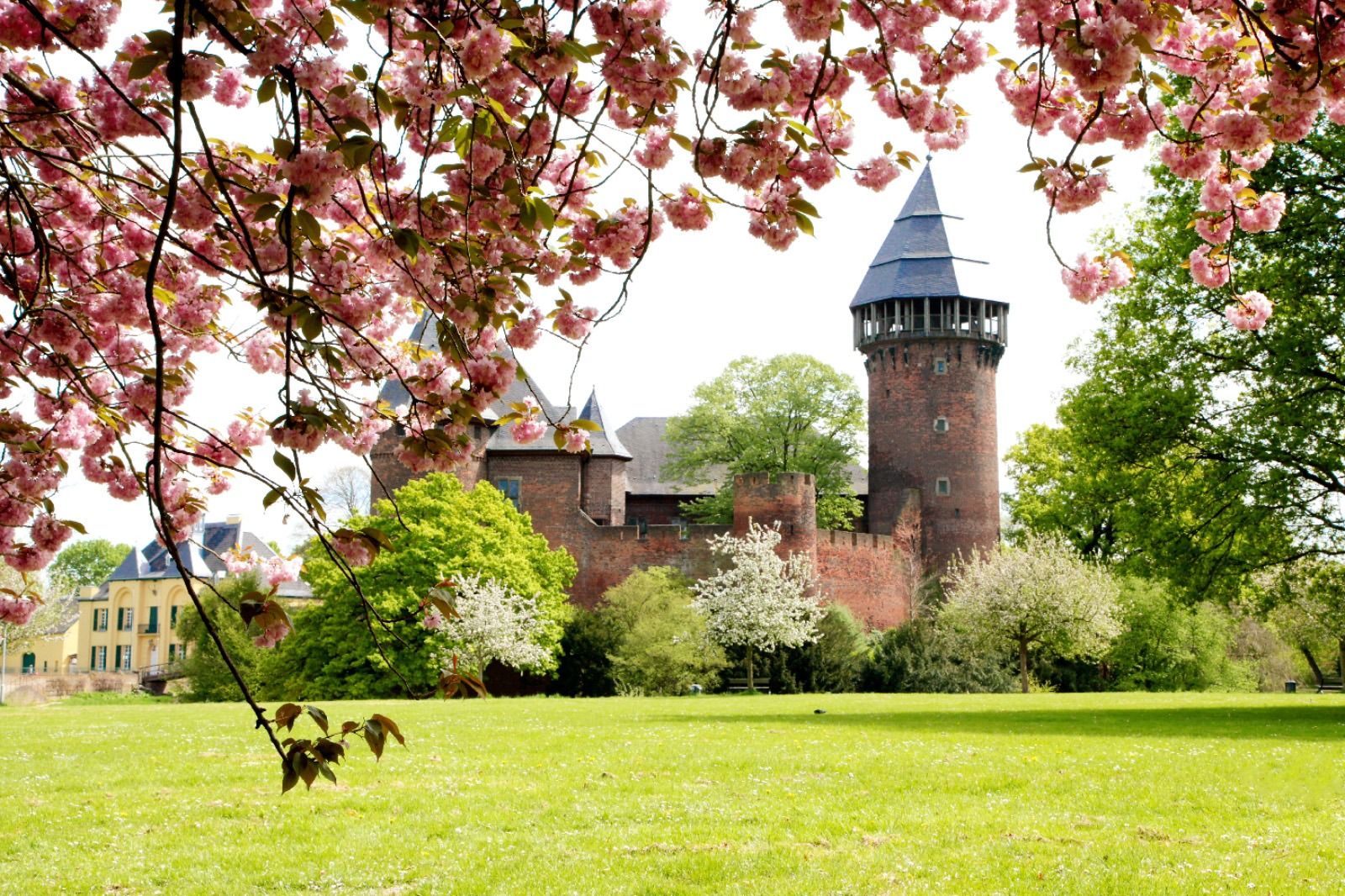 Haus Kauf in Krefeld Burg Linn 
