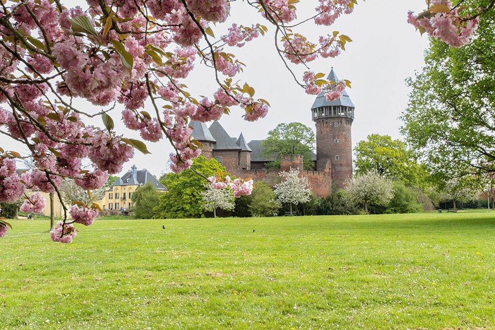 Immobilienmakler Krefeld